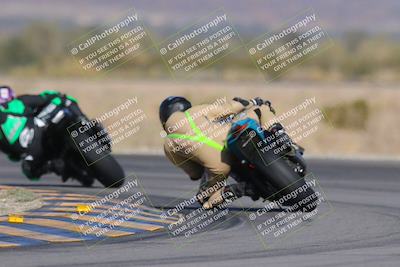 media/Dec-09-2023-SoCal Trackdays (Sat) [[76a8ac2686]]/Turn 14 Backside (1050am)/